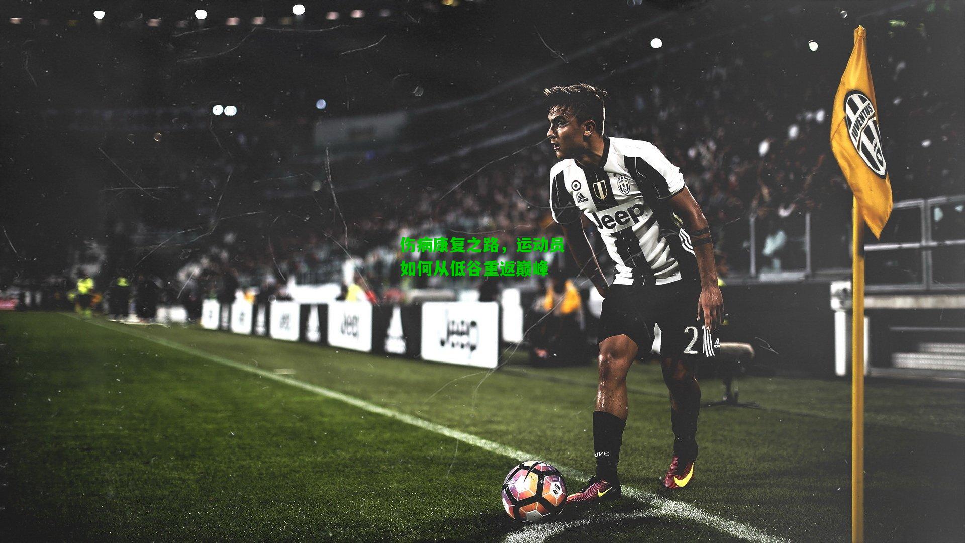 伤病康复之路,运动员如何从低谷重返巅峰