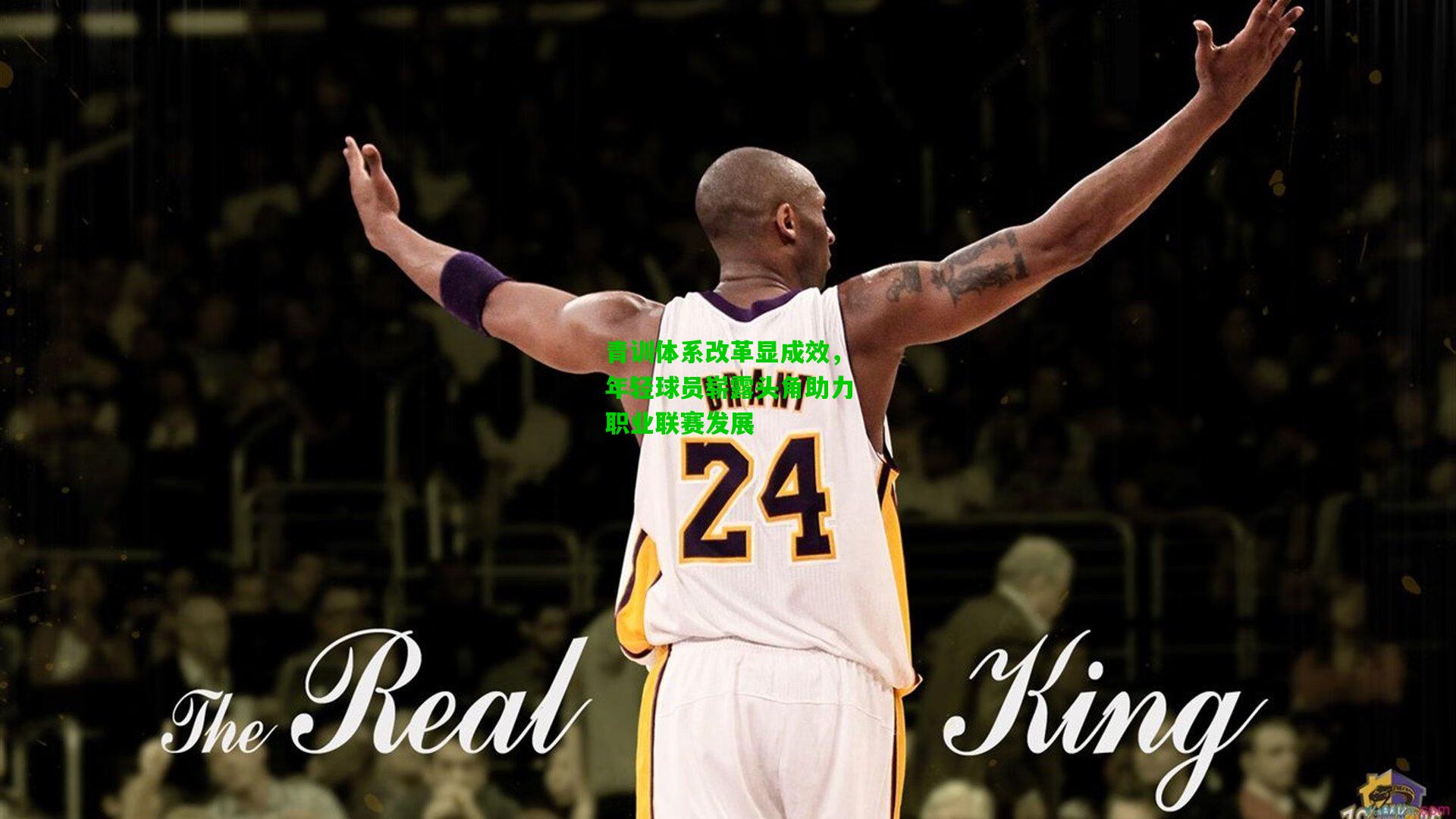 青训体系改革显成效,年轻球员崭露头角助力职业联赛发展