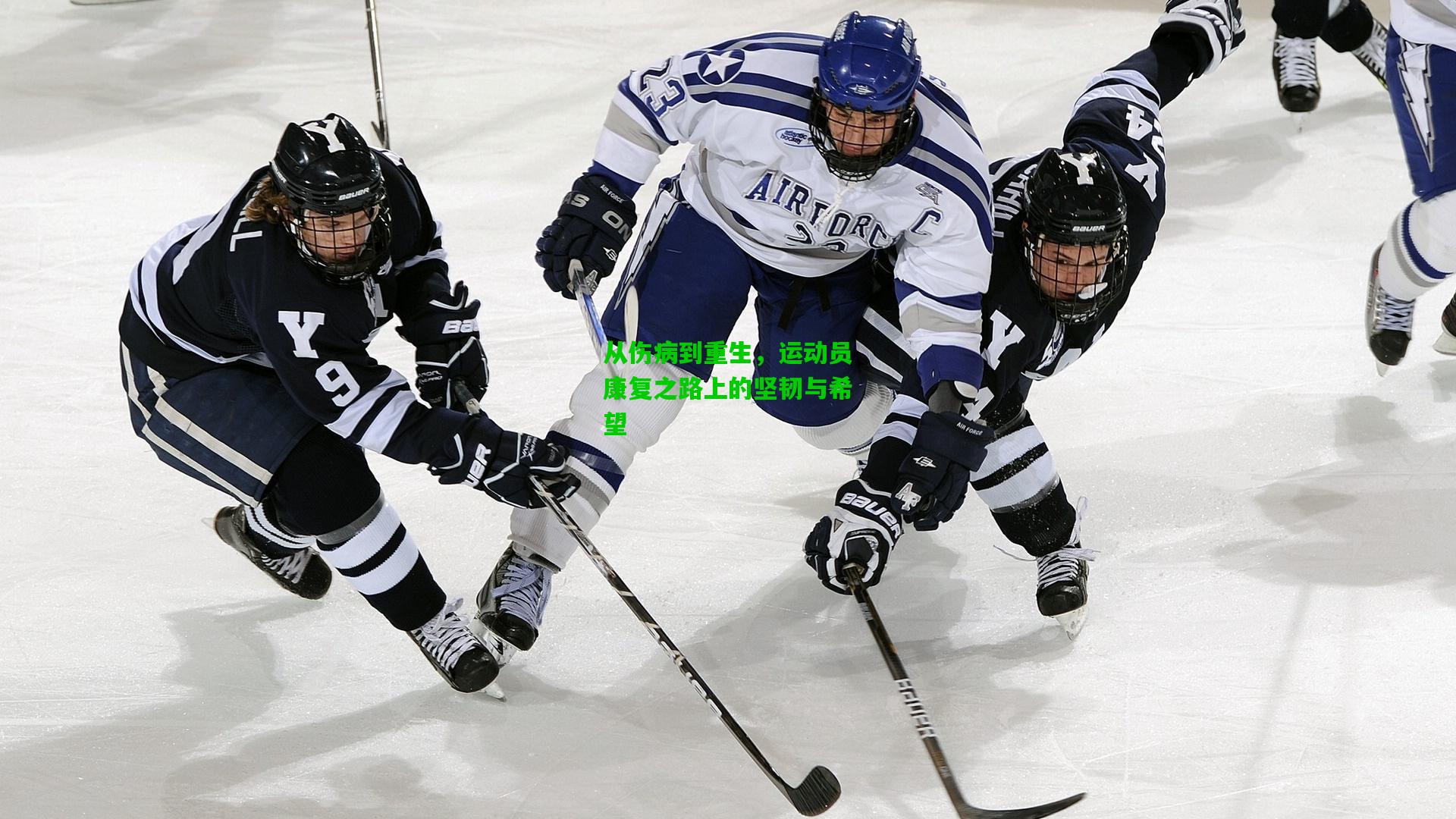 从伤病到重生,运动员康复之路上的坚韧与希望