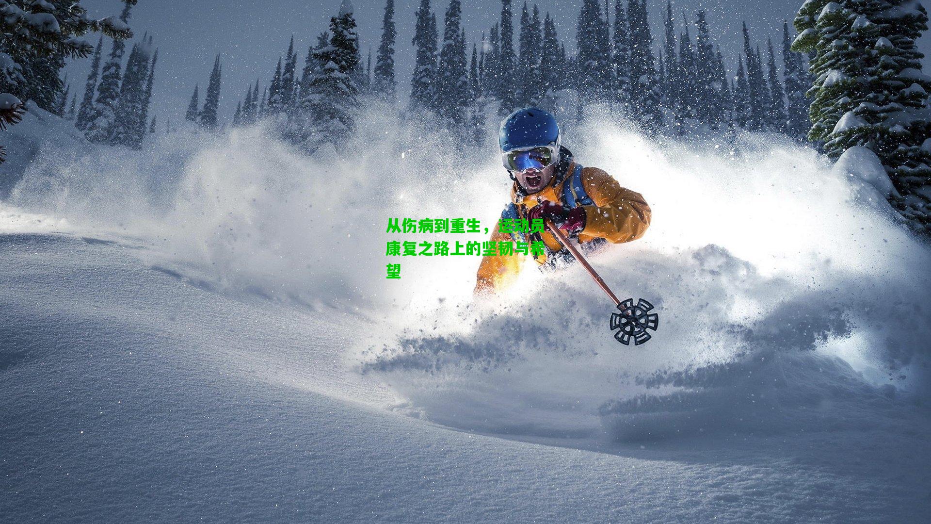 从伤病到重生,运动员康复之路上的坚韧与希望